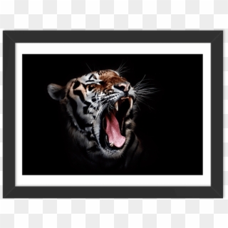 Quadro-tigre - Tiger Image Full Hd, HD Png Download