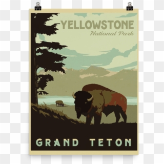 Yellowstone National Park - Bison, HD Png Download