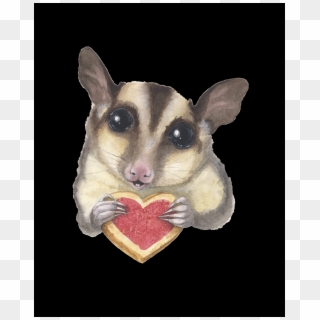 Possum, HD Png Download