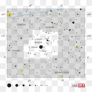 Canis Minor - Canis Minor Star Chart, HD Png Download