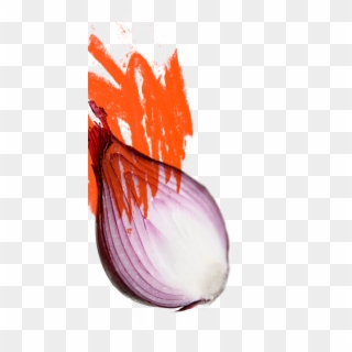 Cinder House Flame One - Red Onion, HD Png Download