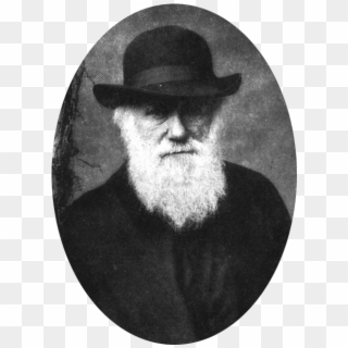 Charles Darwin's Theory - Charles Darwin, HD Png Download