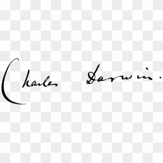 Charles Darwin 1865 Signature - Charles Darwin Signature, HD Png Download
