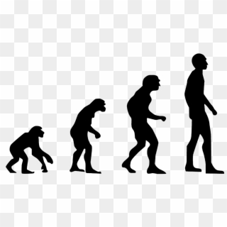 Evolution,human Evolution,the Theory Of Evolution,charles - Human Evolution To Artificial Intelligence, HD Png Download