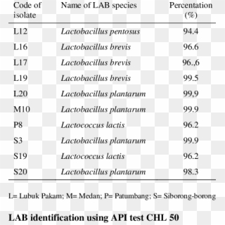 Identification Of Lab Species Using Api Test Chl - Api 50 Chl Identification Table, HD Png Download