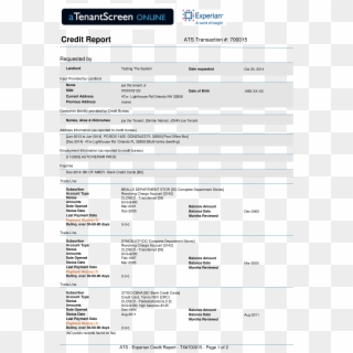 Experian Credit Report - Meijer Job Application Form Pdf, HD Png Download