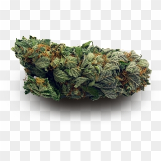 Transparent Weed Nugs Made By Totally Transparent - I M Too High For This Shit, HD Png Download