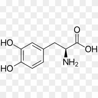 25 Kb Png - 4 Hydroxyphenyllactic Acid, Transparent Png