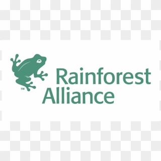 The Rainforest Alliance - Toad, HD Png Download