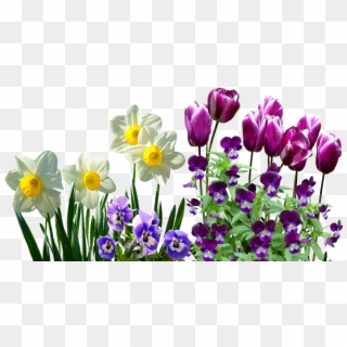 Spring Flowers Clipart, HD Png Download