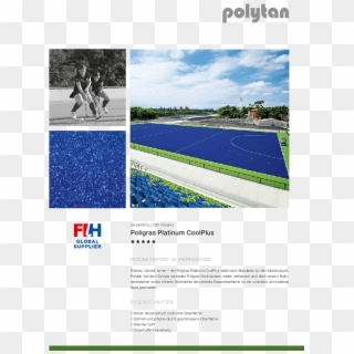 Poligras Platinum Coolplus - Online Advertising, HD Png Download