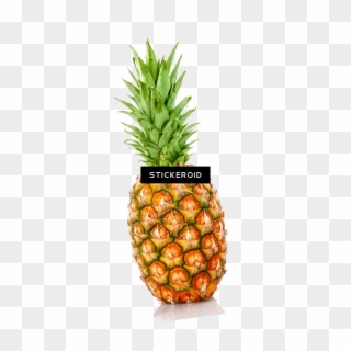 Pineapple Transparent Transparent Background - Individual Fruits And Vegetables, HD Png Download