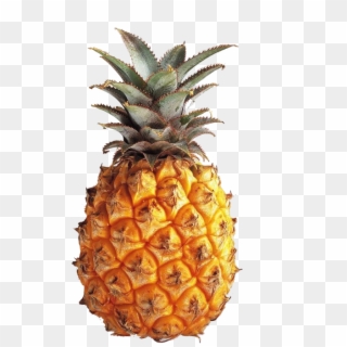 Relevant Images By Pineapple Drawing Png - Fibonacci Fruit, Transparent Png