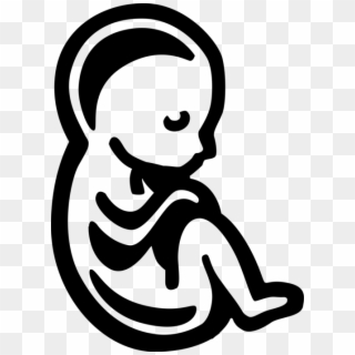 Vector Illustration Of Fetus Prenatal Human Between - Fetus Clipart Transparent Background, HD Png Download