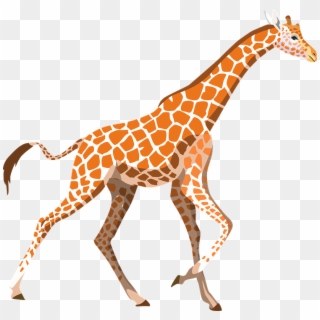 Giraffe, Zoo, Animal, Wild, Wildlife, Africa, Mammal - Giraffe Clipart Pixabay, HD Png Download