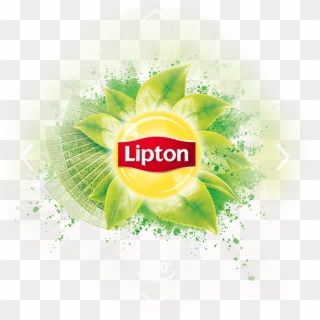 Lipton Case Study Logo - Lipton Matcha Tea, HD Png Download