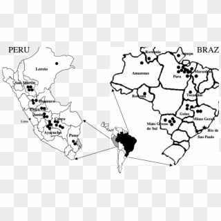 Map Of Peru And Brazil Indicating Geographic Origins - Atlas, HD Png Download