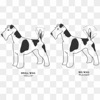 Wagging Tails Movement - Ancient Dog Breeds, HD Png Download