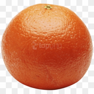 Free Png Download Mandarin Png Images Background Png - Valencia Orange, Transparent Png