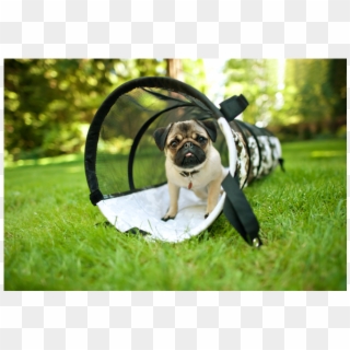 Improve Your Dog's Agility With This Dog Play Tunnel - Dog Tunnel, HD Png Download