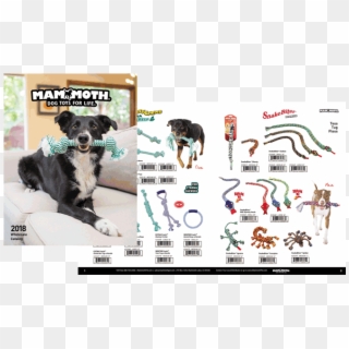 Our 2019 Catalog Is Filled With Premium Dog Toys For - Companion Dog, HD Png Download