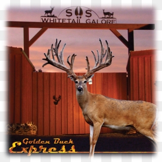 As You Travel Through The Beautiful Country Side Of - Whitetail Deer Breeders, HD Png Download
