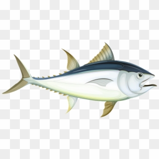Fish Sea Tuna Underwater Water Ocean Animal - Tuna Fish Cartoon Png, Transparent Png