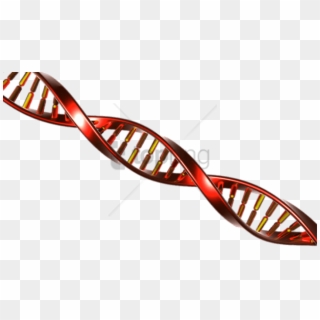Free Png Dna String Red And Yellow Png Image With Transparent - Adn String, Png Download