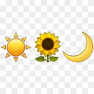 Tumblr Aesthetic Emoji Sunflower Moon Sun Freetoedit - Sunflower, HD Png Download