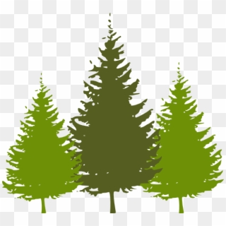 Redwood Tree With Face Clipart Png > > 52kb - Winter Trees Silhouette Vector, Transparent Png