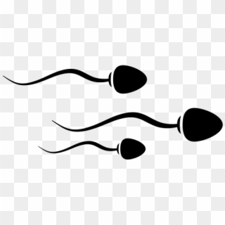 Sperm Icon, HD Png Download