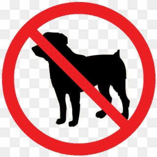 Leash Tightens On Dogs In City - Pet Is Not Allowed, HD Png Download