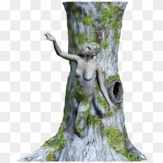 Tree, Wood, Woman, Fantasy, Prisoner, 3d, Png - Stock.xchng, Transparent Png
