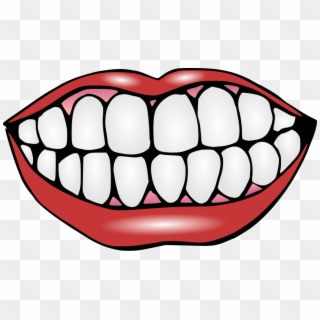 Mouth With Teeth Clipart - Clip Art Of Teeth, HD Png Download