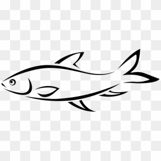 Drawing Clipart Fish Line - Fish Drawing Png, Transparent Png