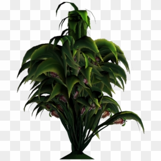 Added By Yorik On - Houseplant, HD Png Download