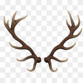 Antlers Images In Collection Page Png Wanwood Antlers, Transparent Png