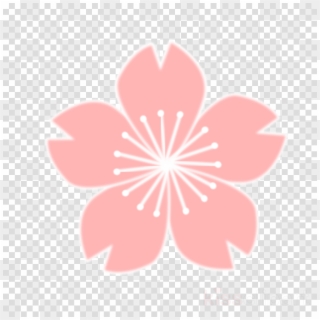 Sakura Png Clipart Cherry Blossom Clip Art - Drawing Cherry Blossom Flower, Transparent Png