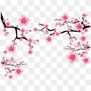 Sakura Blossom Clipart Plum Flower - Transparent Background Cherry Blossom Png, Png Download