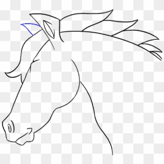 How To Draw A Horse S Head - Drawing, HD Png Download