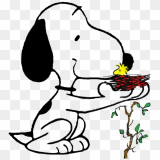 Graphic Library Library Snoopy Woodstock Loads Safely - Snoopy And Woodstock Vector, HD Png Download