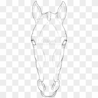 Drawn Face Horse - Horse Head Front View Drawing, HD Png Download