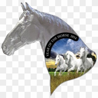 Niue 2014 1$ Irregular Horse Head Year Of The Horse - Stallion, HD Png Download