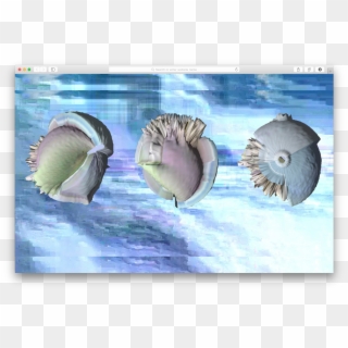 Go To The Work - Shell, HD Png Download