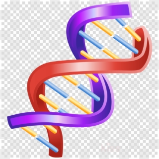 Beautiful Dna, Transparent Png Image &amp - Double Helix Clipart, Png Download