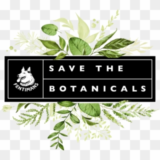Fentimans Save The Botanicals - Wedding Invitations, HD Png Download