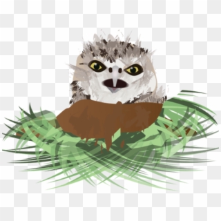 Burrowing Owl Clipart Flying - Burrowing Owl Clip Art, HD Png Download