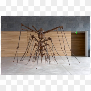 “the Nest,” Offering Inspiration, And Maybe Disturbing - Louise Bourgeois The Nest, HD Png Download
