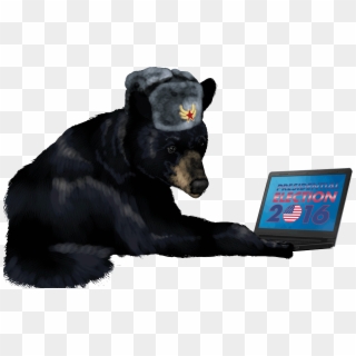 American Black Bear, HD Png Download