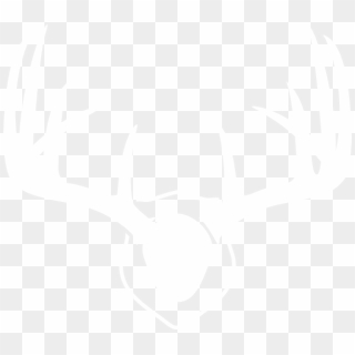 Svg Black And White Stock White Mounted Deer Clip Art - White Deer Antlers Clipart, HD Png Download